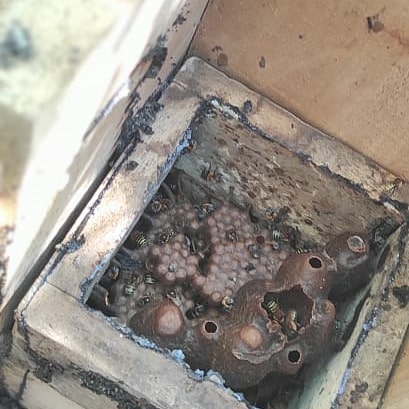 170901386 120595203451007 1693685592831157273 n