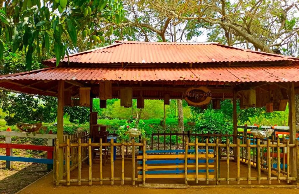 whatsapp image 2025 12 09 at 09.56.26 (1)