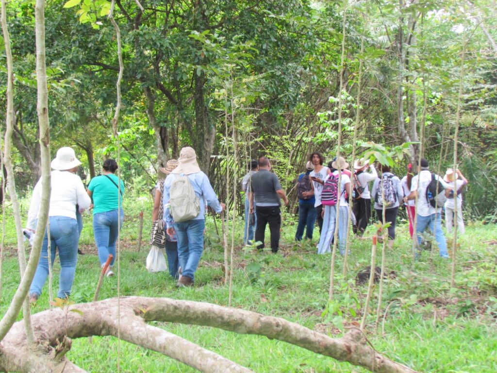 whatsapp image 2025 12 09 at 09.57.05