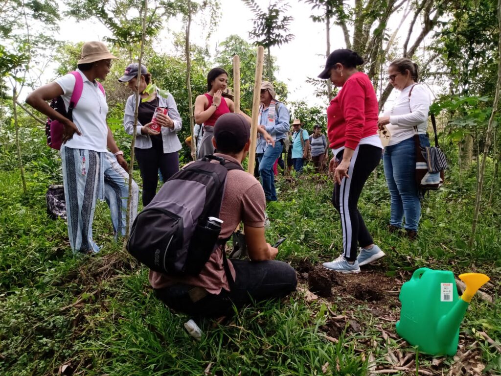 whatsapp image 2025 12 09 at 09.57.10