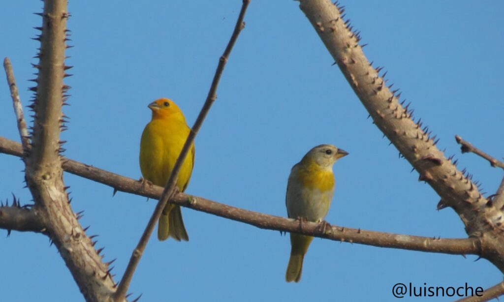 whatsapp image 2025 12 09 at 09.57.13 (1)