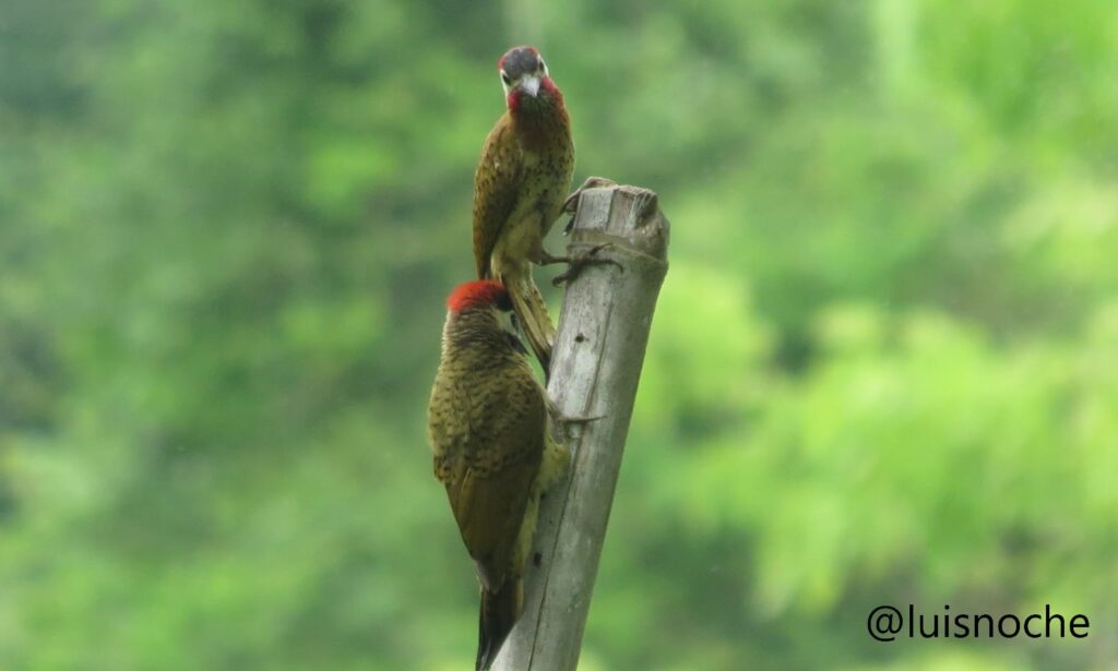 whatsapp image 2025 12 09 at 09.57.14 (1)