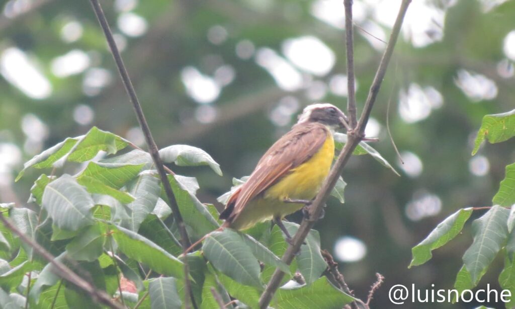 whatsapp image 2025 12 09 at 09.57.16