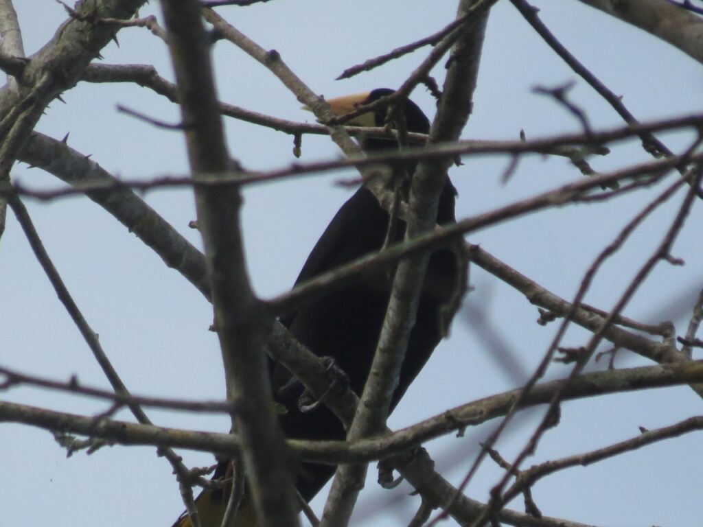 whatsapp image 2025 12 09 at 10.20.38 (1)