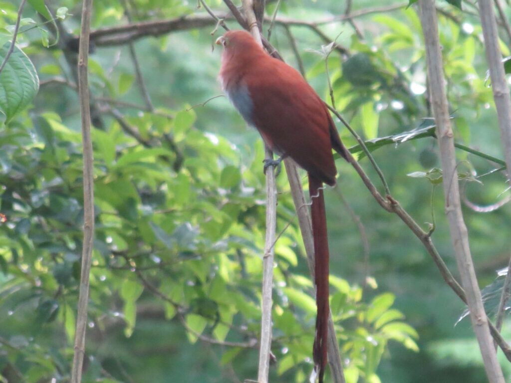 whatsapp image 2025 12 09 at 10.20.38