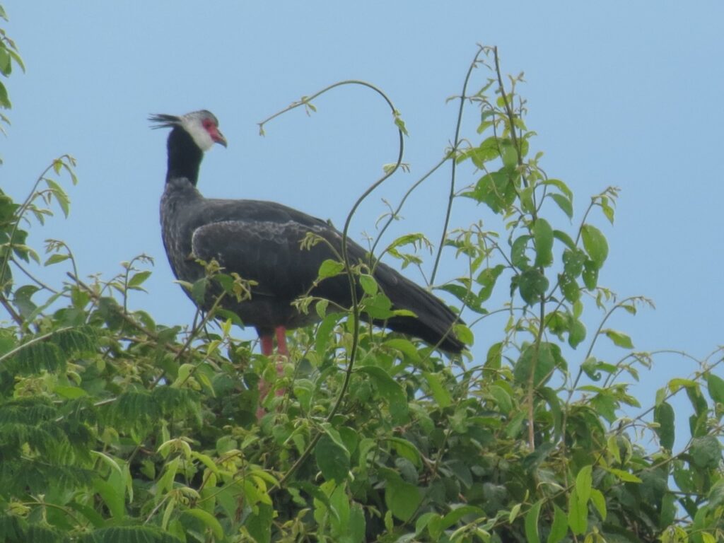 whatsapp image 2025 12 09 at 10.20.41