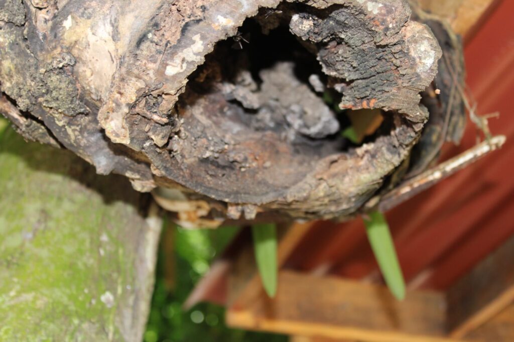 whatsapp image 2025 12 09 at 17.50.01